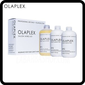 Olaplex Salon Intro Kit 