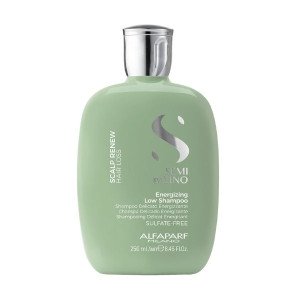 Shampoo Energizing Energizzante 250ml Alfaparf